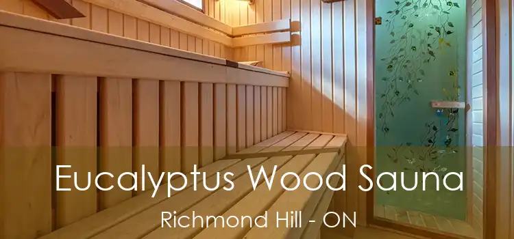  Eucalyptus Wood Sauna Richmond Hill - ON